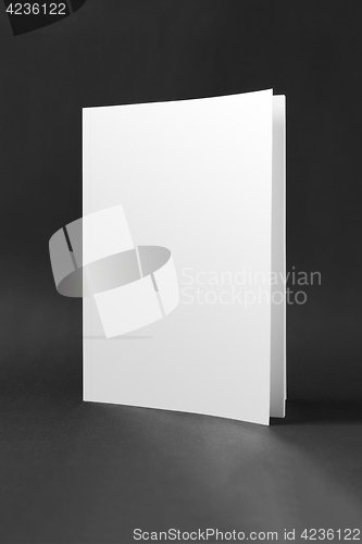 Image of blank book cover mockup