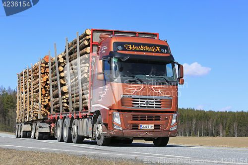 Image of Brown Volvo FH Hauls Timber on Beautiful Day