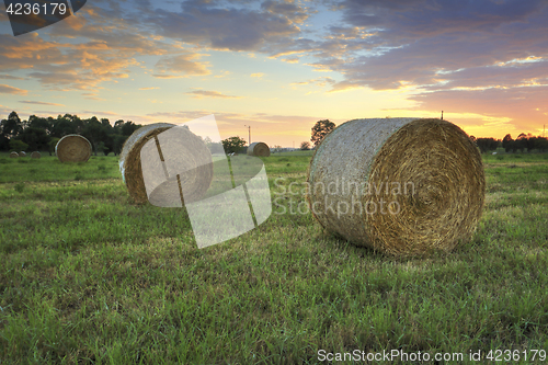 Image of Hay bales in the Hawkesbury fields with a pretty sunrise sky beh