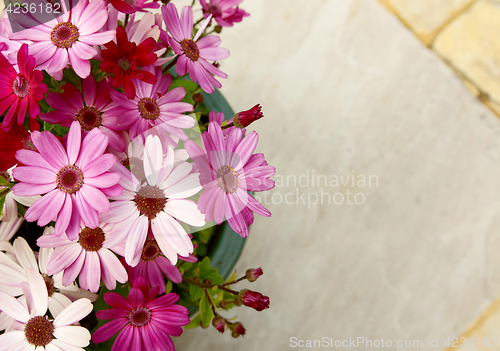 Image of Flowerpot full of pink and magenta African daisies