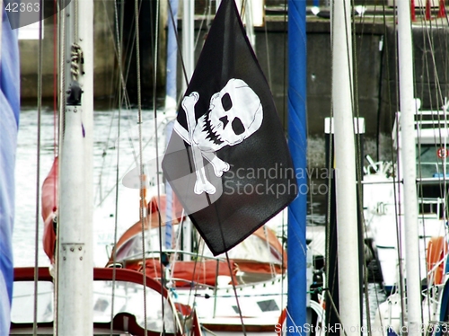 Image of Pirate Flag