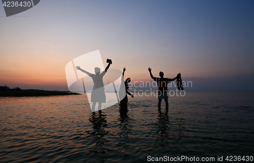 Image of Summer in Djursland - Denmark