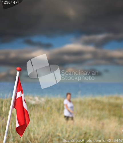 Image of Summer in Djursland - Denmark