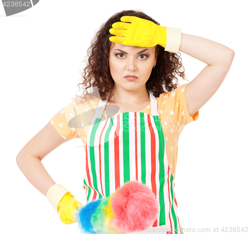 Image of Housewife with cleaning supplies