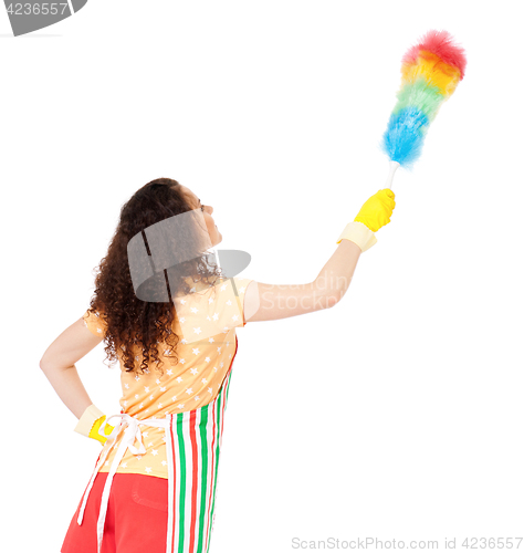 Image of Housewife with cleaning supplies