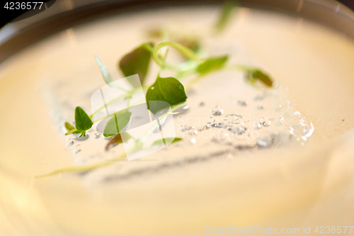 Image of close up of glass with cocktail at bar