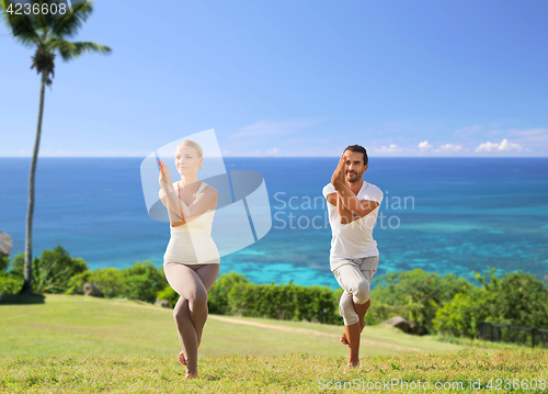 Image of smiling couple making yoga exercises outdoors