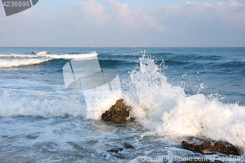 Image of Mediterranean Coast Israel