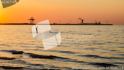 Image of Couple bathing at sunset in the sea