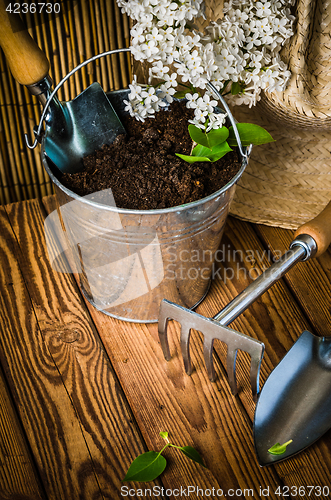 Image of Gardening tools and a branch of a blossoming white lilac