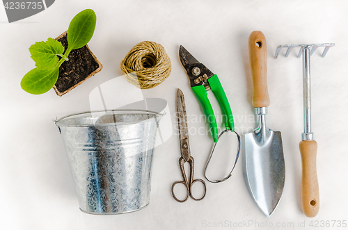 Image of Garden tools for planting, on white background