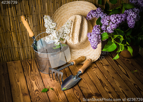 Image of Gardening tools and a branch of a blossoming white lilac