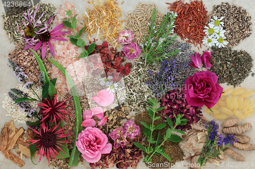 Image of Herbal Medicine for Healing Skin Disorders