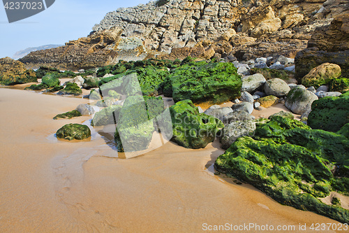 Image of Green stones on the seashore