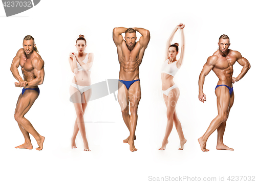 Image of Attractive male body builder on white background