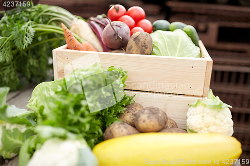 Image of close up of vegetables on farm