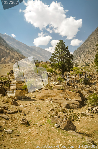 Image of Wilderness in Nepal