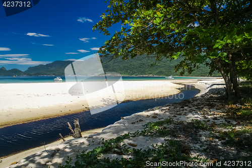 Image of Beach on sunny day