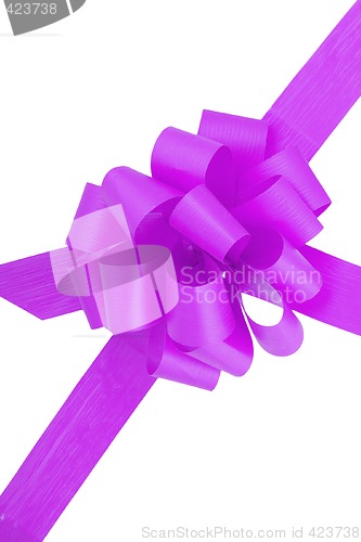 Image of Purple Ribbon