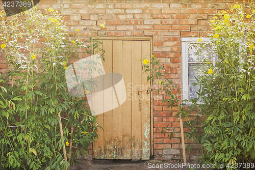 Image of red brick wall and wooden door