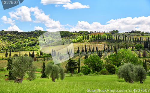 Image of Tuscany landscape, Toscana, Italy