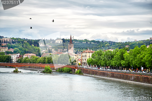 Image of Panoramic view of Verona city