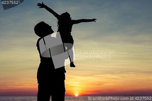 Image of Father and son playing on the beach