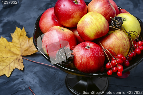 Image of Vase with autumn apples