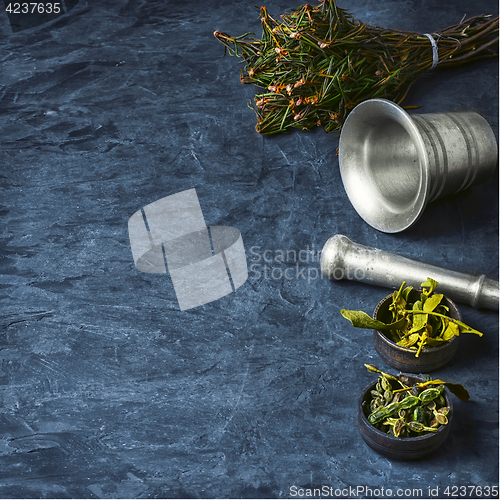 Image of Harvest of medicinal plant