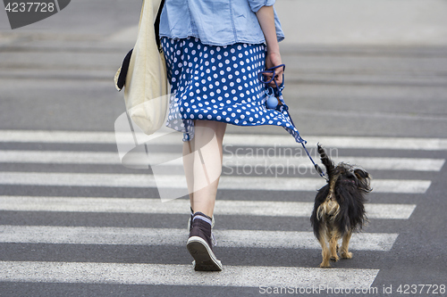 Image of Young woman with dog walking in the city