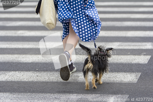 Image of Young woman with dog walking in the city