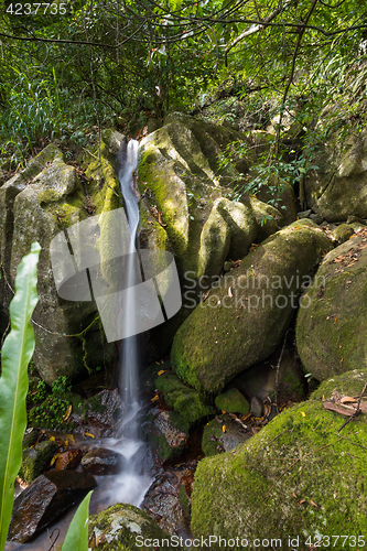 Image of Small waterfall in Masoala national park, Madagascar