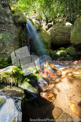 Image of Small waterfall in Masoala national park, Madagascar