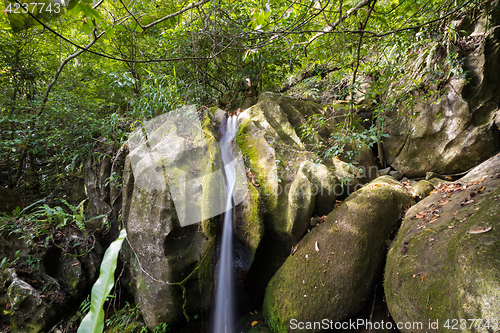 Image of Small waterfall in Masoala national park, Madagascar