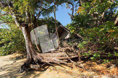 Image of Beautiful dream paradise beach, Madagascar