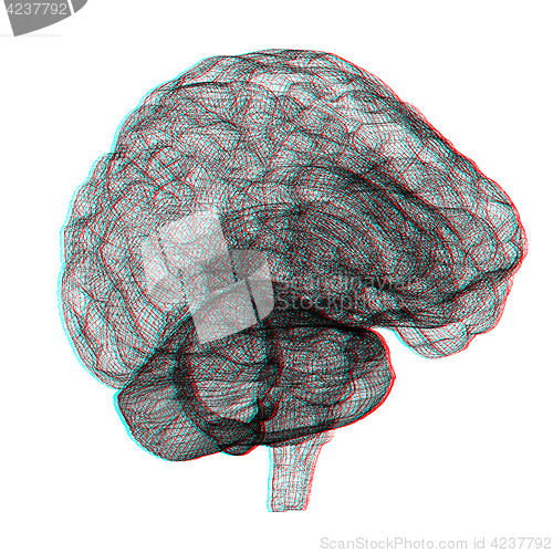 Image of Creative concept of the human brain. Anaglyph. View with red/cya