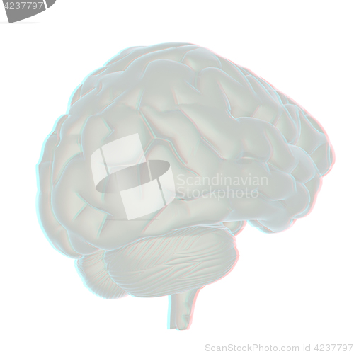 Image of 3D illustration of human brain. Anaglyph. View with red/cyan gla