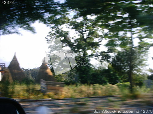 Image of Driving fast at countryside