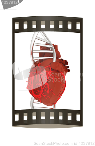 Image of DNA and heart. 3d illustration. The film strip