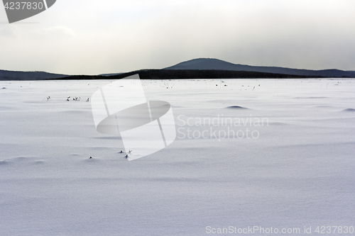 Image of Fresh snow cover in dunes at closeup, a winter landscape
