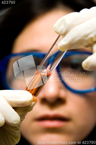 Image of Scientist looking at test tube