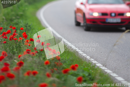 Image of Many poppies in a field a cloudy sommer day with a car passing b