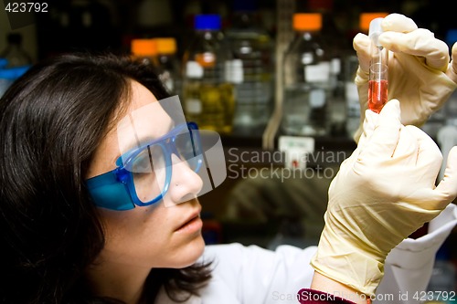 Image of Scientist looking at test tube