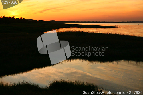 Image of Summer in Djursland - Denmark