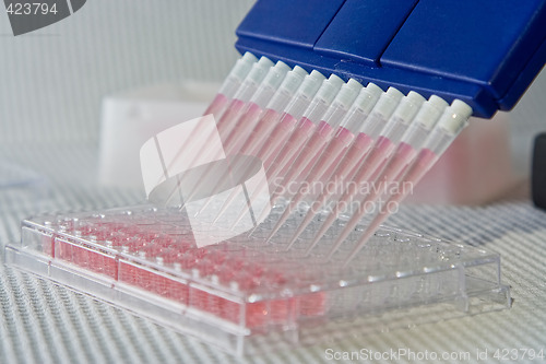 Image of Pipetting experiment