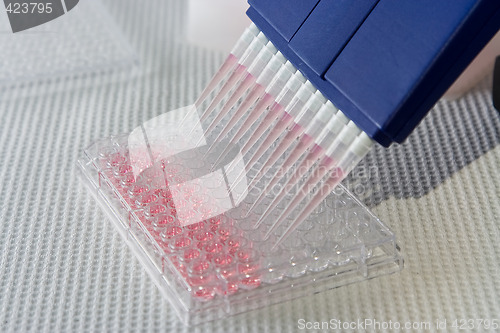 Image of Pipetting experiment