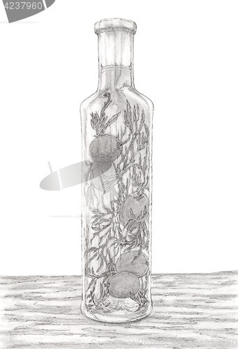 Image of Bottle with herbs and liquid (vinegar or oil)