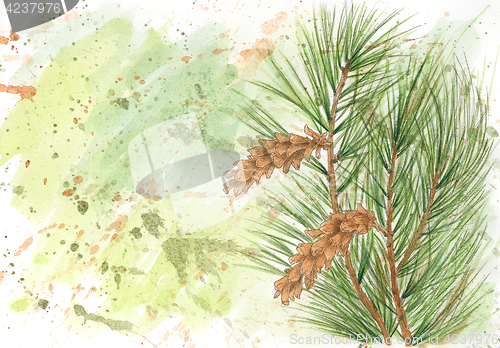 Image of Grunge background with Weymouth pine (Pinus strobus)