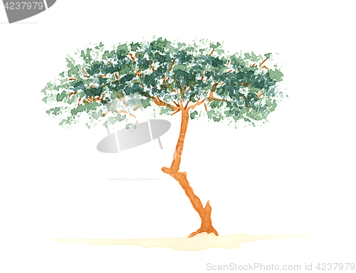 Image of Coniferous tree over white background
