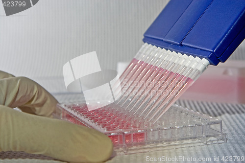 Image of Pipetting experiment